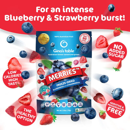 Freeze Dried Blueberries with Strawberries - 10 pack